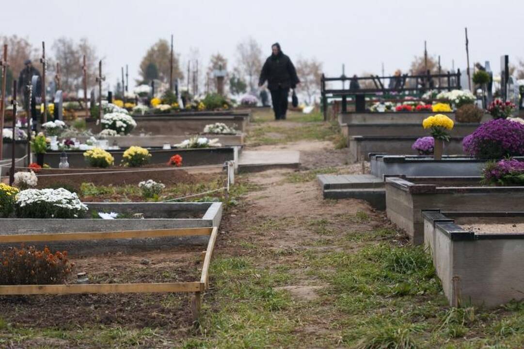 Kelias į Ledos kapines – klaidus ir duobėtas