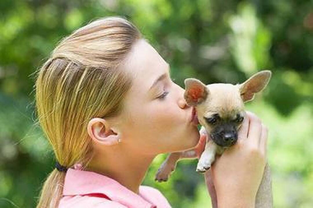 10 keisčiausių daiktų, kuriuos prarijo šunys