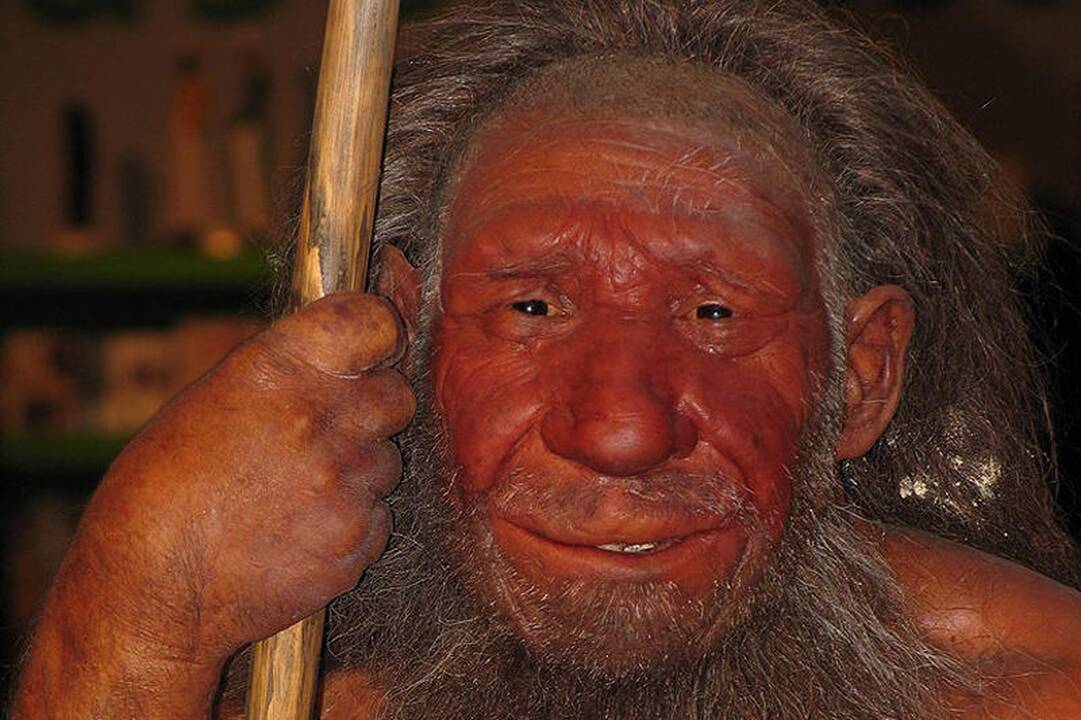 Teorija: neandertaliečiai išnyko dėl sekso  