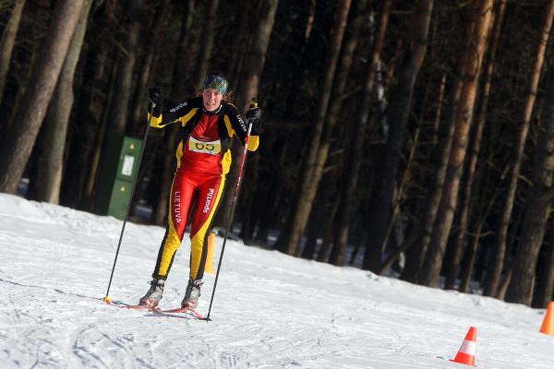Valstybės atkūrimo dieną minėjo ant slidžių (papildyta)