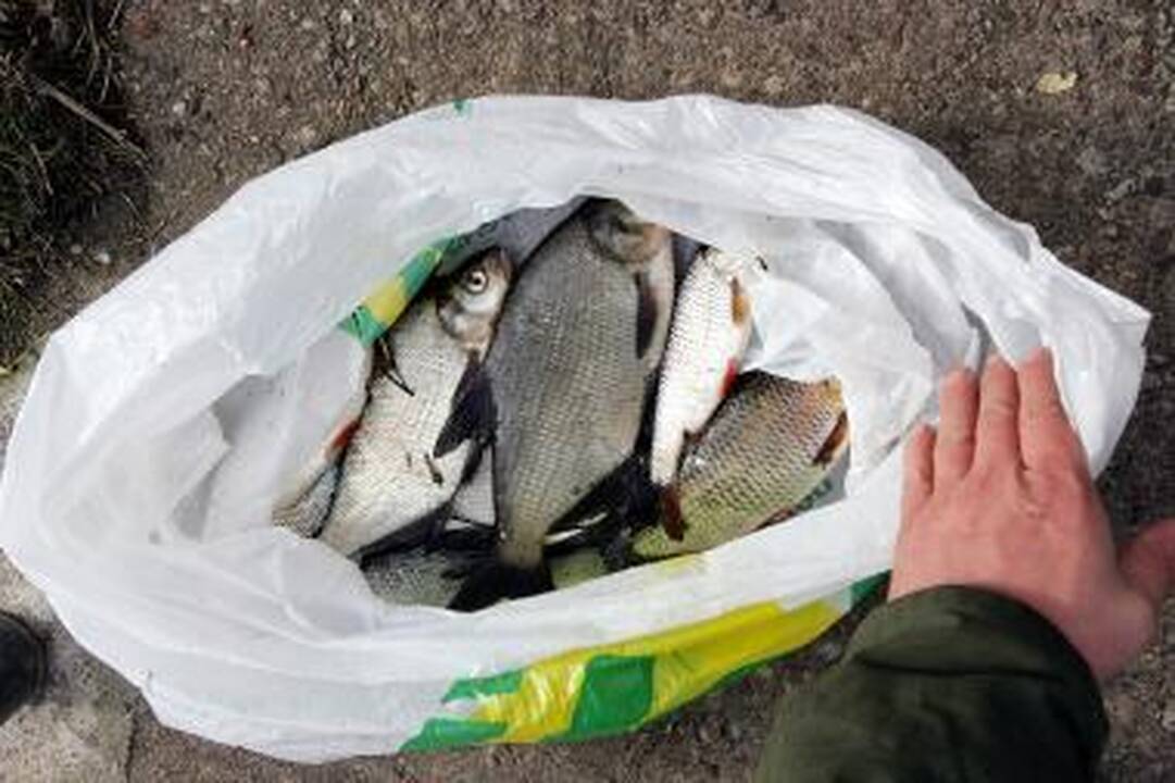 Aplinkosaugininkams brakonieriai pagrasino kirviu