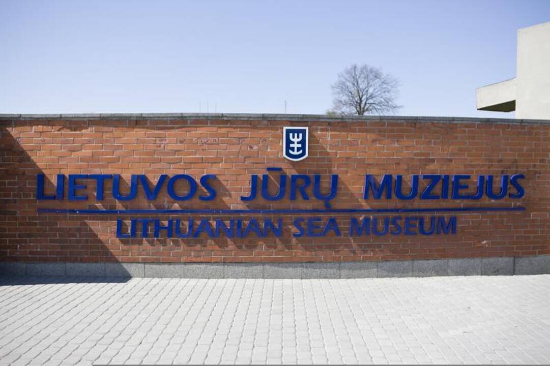 Jūrų muziejaus kolekciją papildė retos žuvys