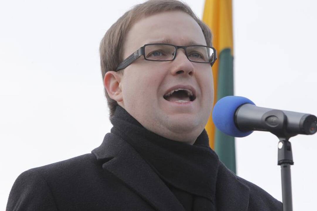 V. Gapšys: DP su „tvarkiečiais“ gali susijungti „pakankamai greitai“