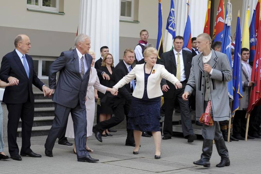 Girti kelių „ereliai“ Vilniuje daužė šviesoforus