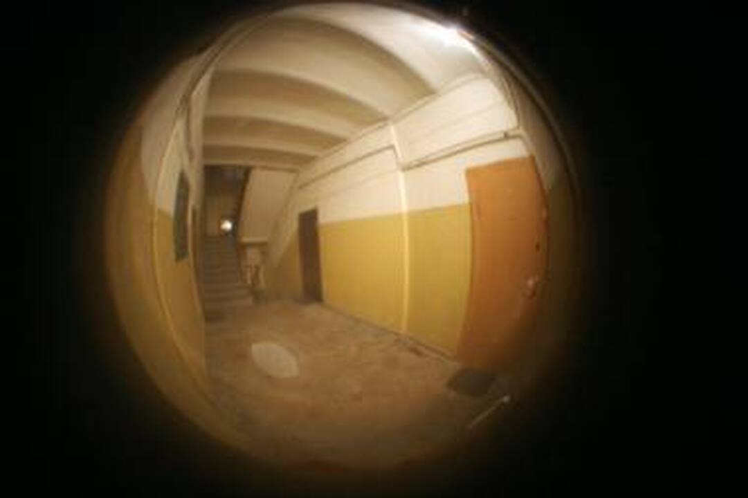 Kaunietis šovė į kaimynės durų akutę