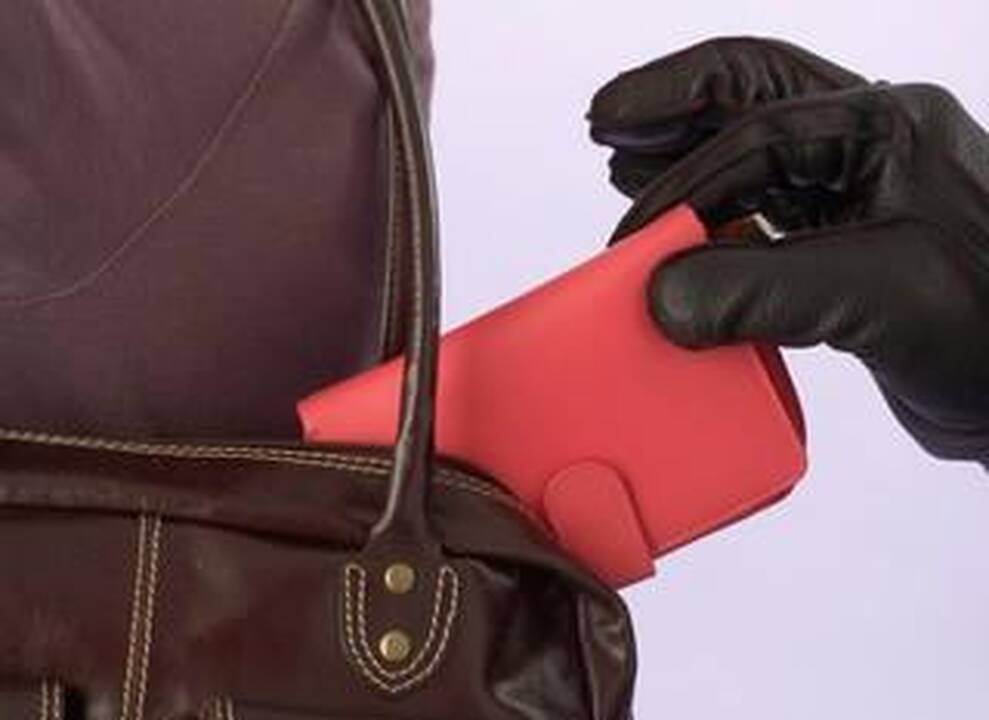 Policininkai „nebėga“ ieškoti vagių