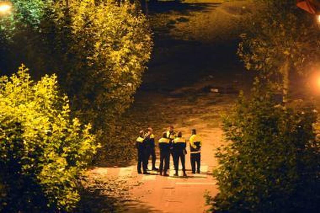 Per sprogimą Ispanijos baskų regione žuvo karys