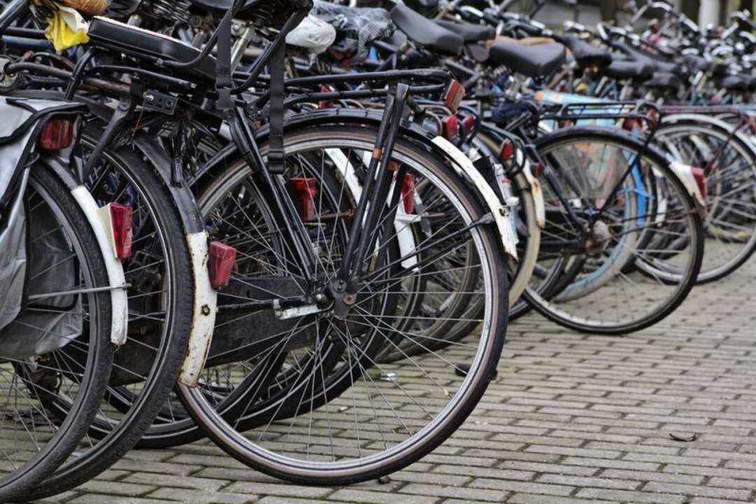Šiandien paaiškės Lietuvos dviračių maratonų čempionas