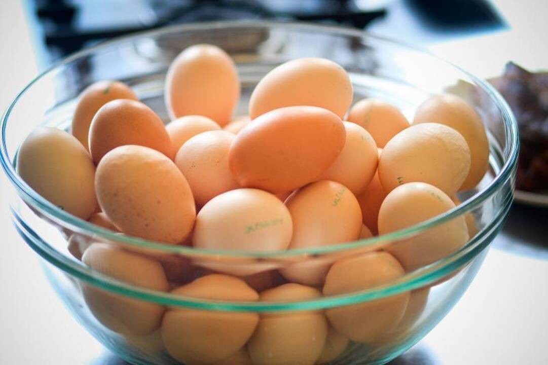 Žadama, kad kiaušiniai prieš Velykas nebrangs