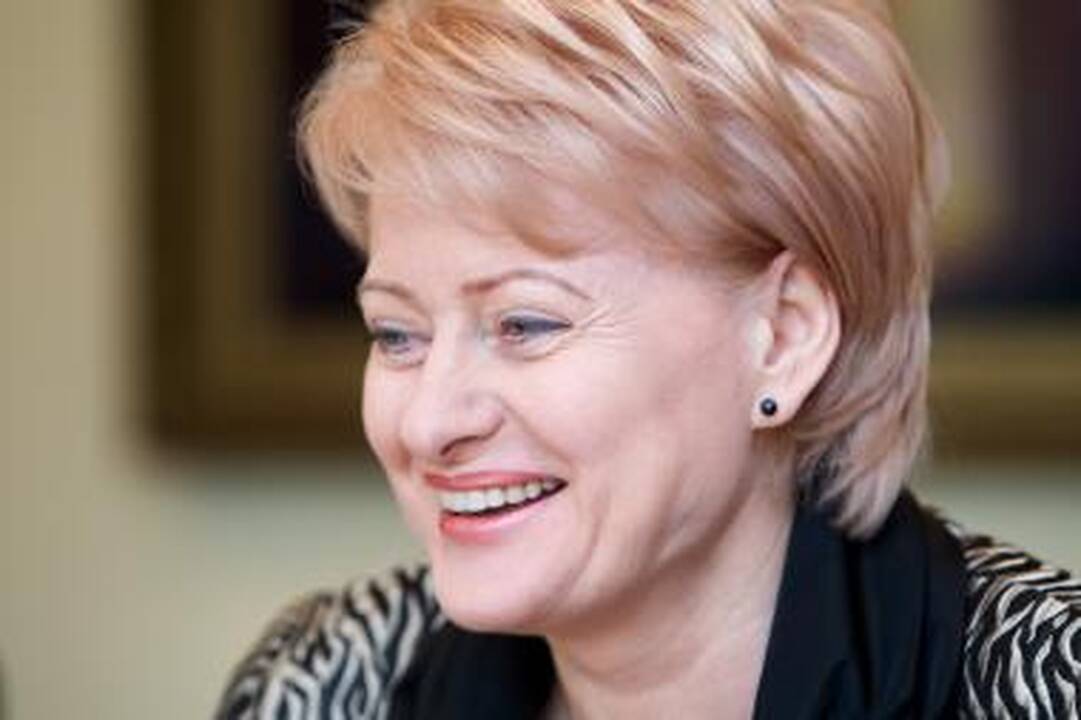 Internete – D. Grybauskaitės antrininkas 