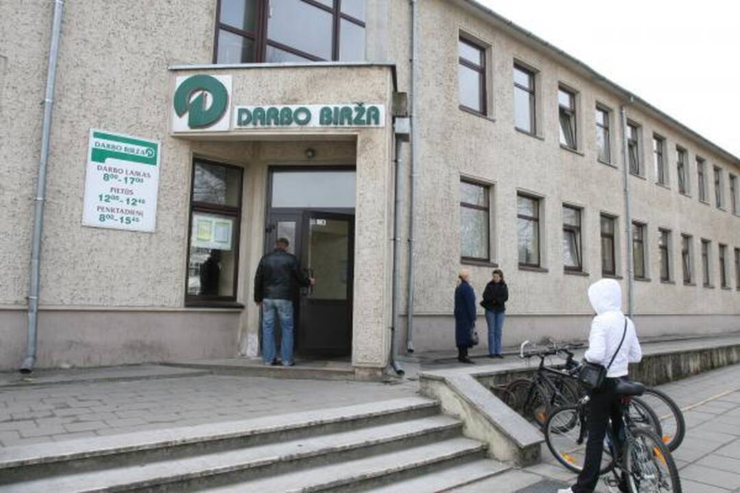 Lietuvos darbo birža dar nežino iš kokių lėšų sumokėtų miškus valantiems darbininkams