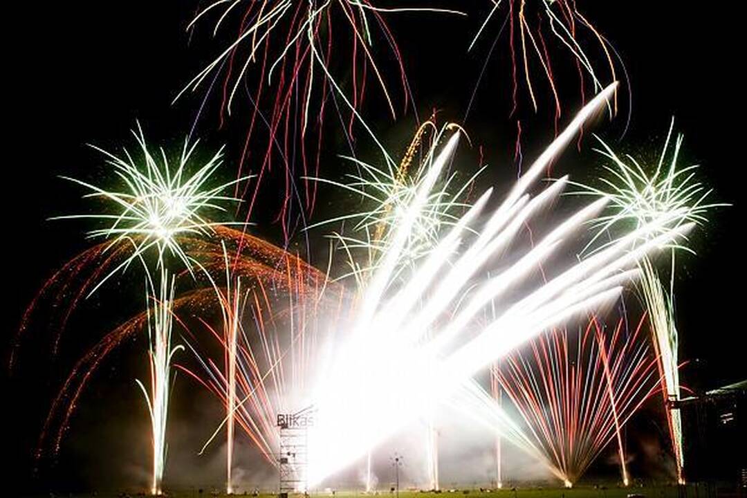 "Vilniaus fejerija 2010" laimėjo lenkai