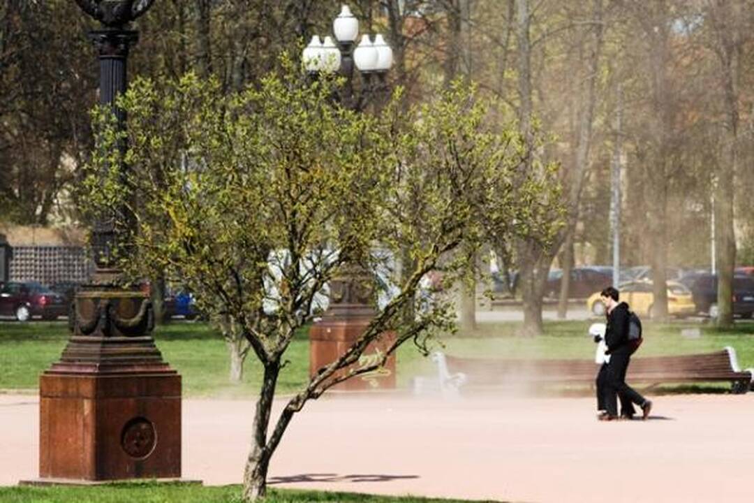 Vilnius skendi dulkių debesyje