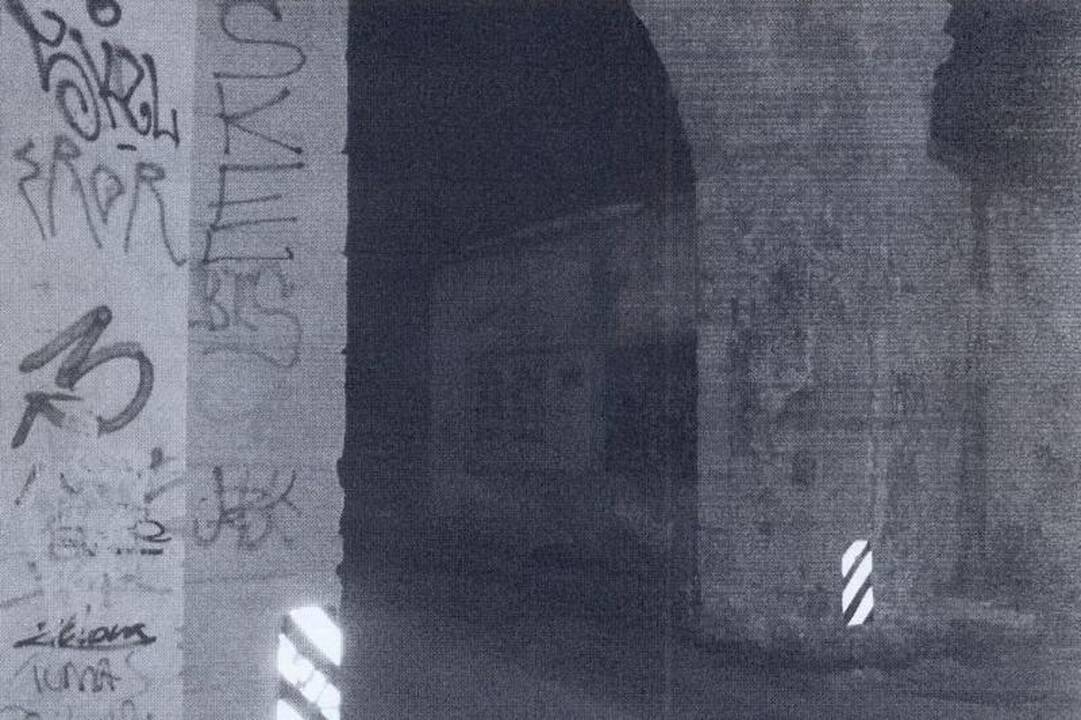 Sostinės policija sulaikė sienų tepliotojus