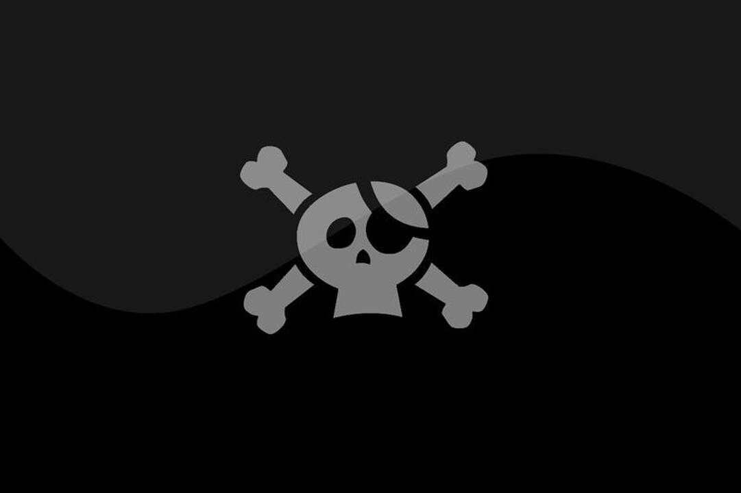 „Piratai” naikina lietuviškos programinės įrangos rinką
