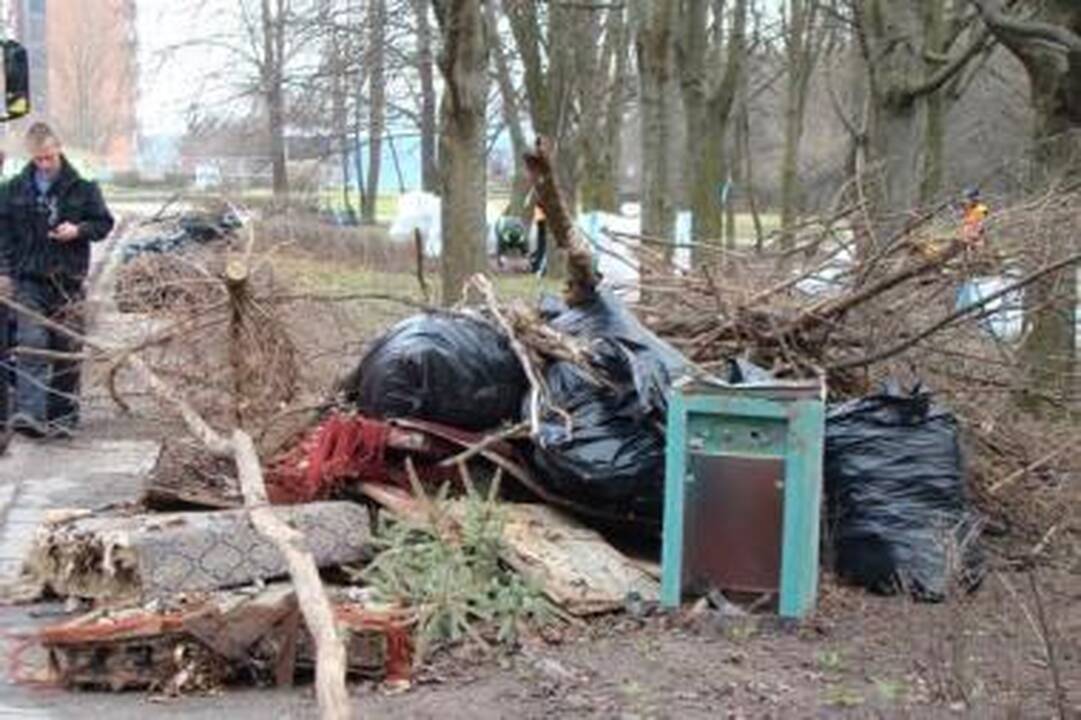 Šiukšles iš Panemunės šilo padėjo valyti ir gyventojai