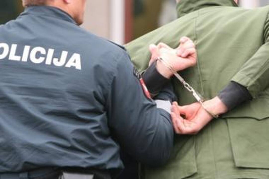 Pakruojo policija pričiupo profesionalų vagį