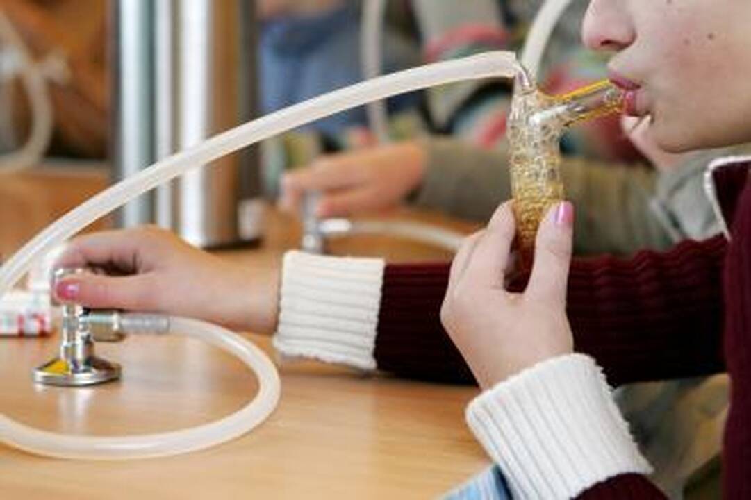 Kas atsitinka, kai „išjungiami“ viruso genai?