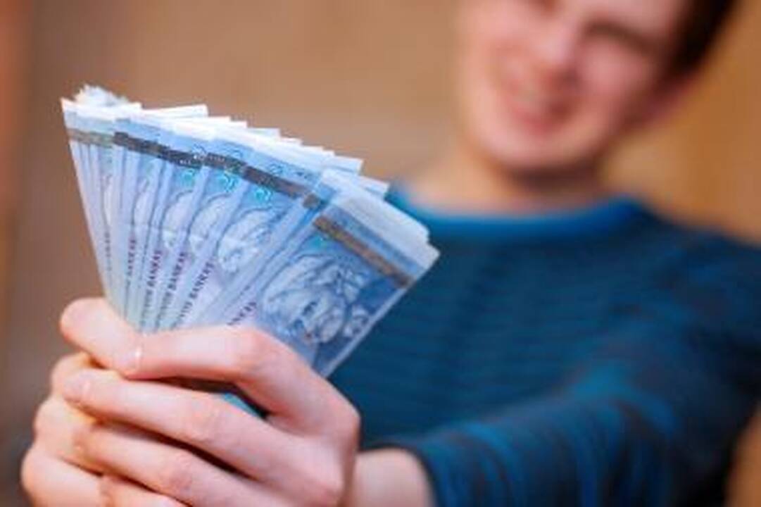 Paskolos litais pinga