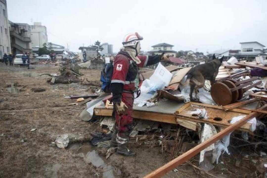 Japonai stichijos smūgį atlaikė garbingai
