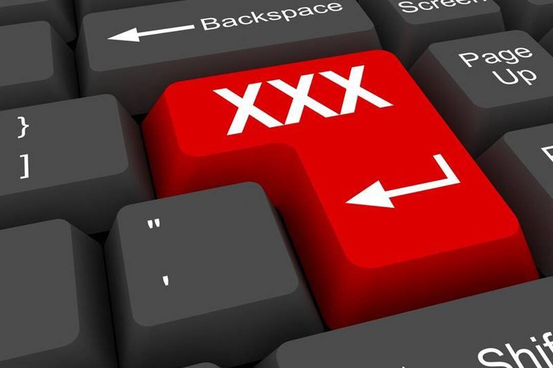 Ruošiamos domenų zonos .sex, .porn ir .adult