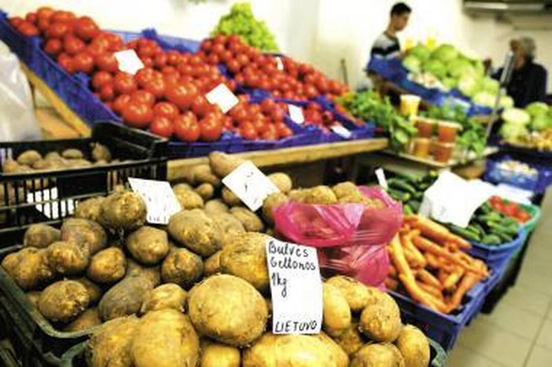 Sodininkai: lietuviški vaisiai gali brangti 30–50 proc.