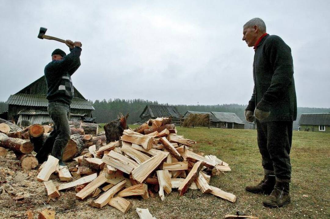 Lietuvoje didėja malkų skaldyklių paklausa 