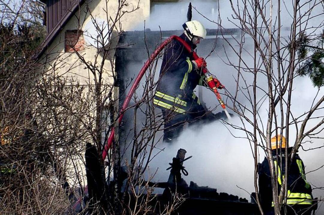 Šiaulių r. fermoje kilęs didžiulis gaisras pražudė gyvulius  