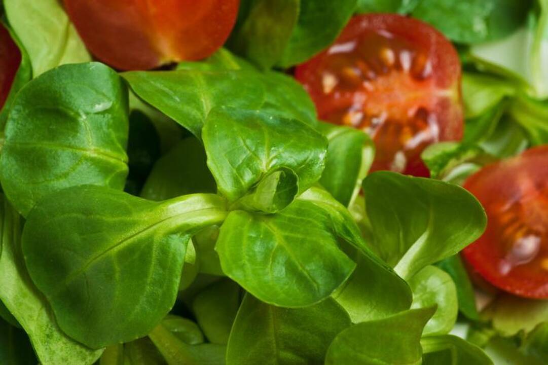 Žalių daržovių dieta: būkite atsargūs   