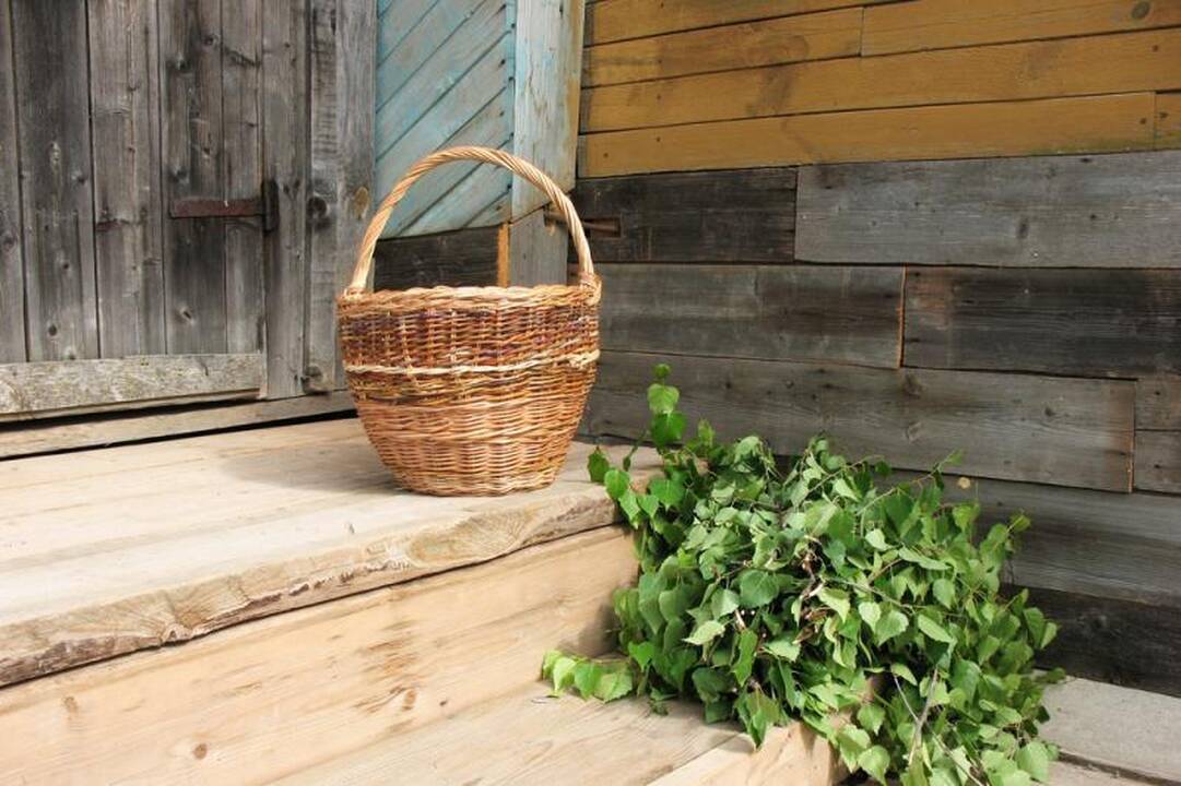 Liepų vantos   malšina   galvos  skausmą