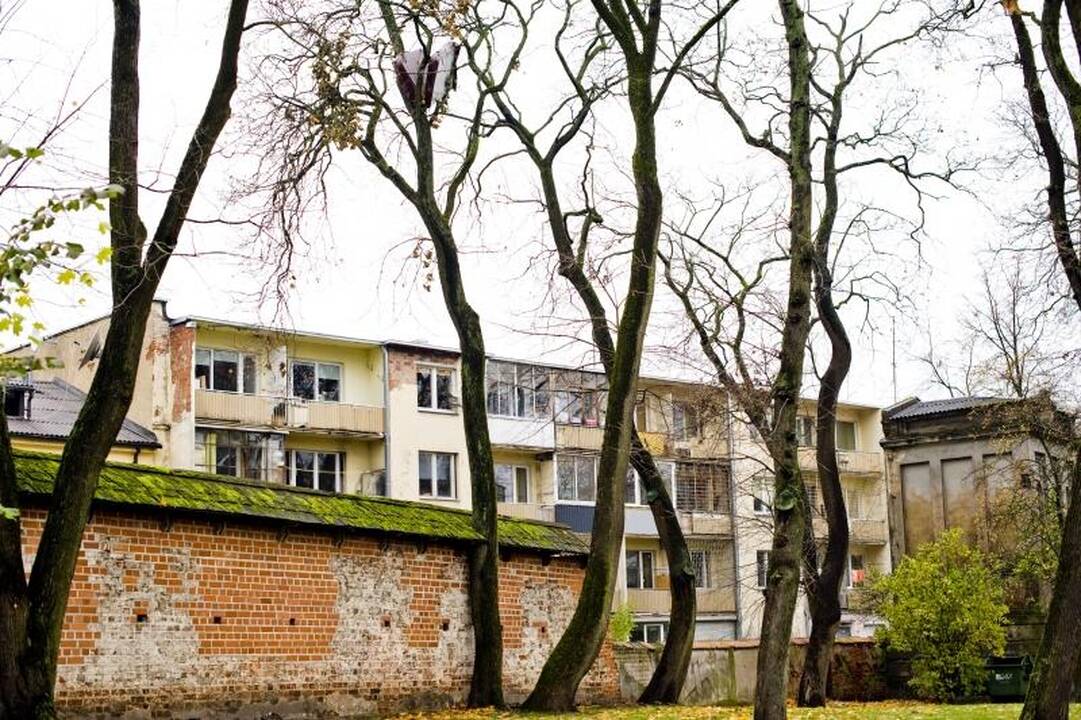 Kaune     ant  medžių  auga ir    sofos 