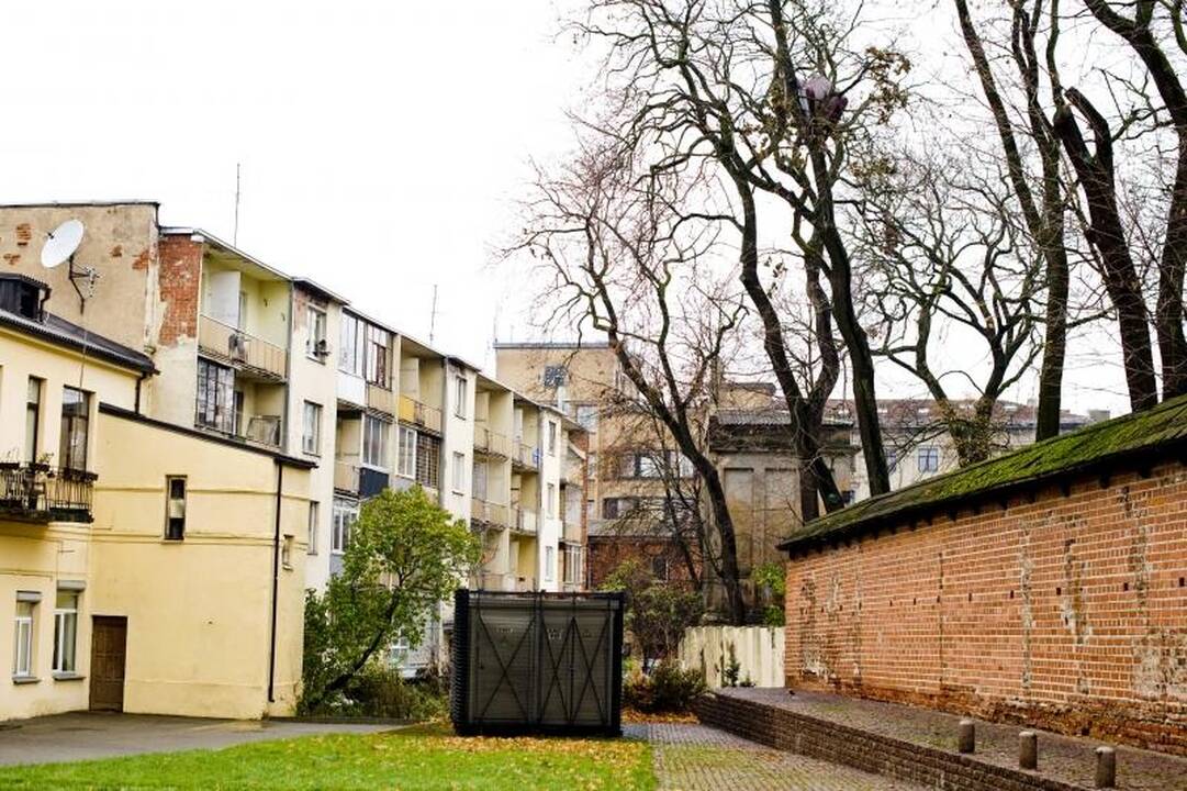 Kaune     ant  medžių  auga ir    sofos 