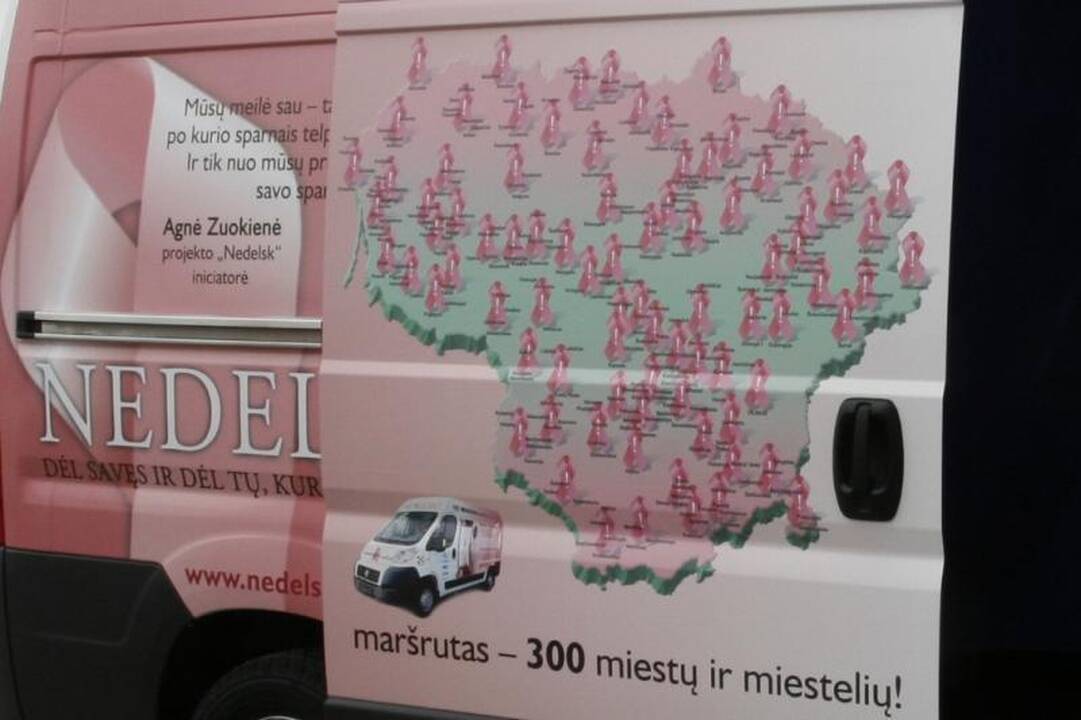 Rožinis „Nedelsk“ autobusėlis atvyksta į Vilnių (vietos ir laikas)