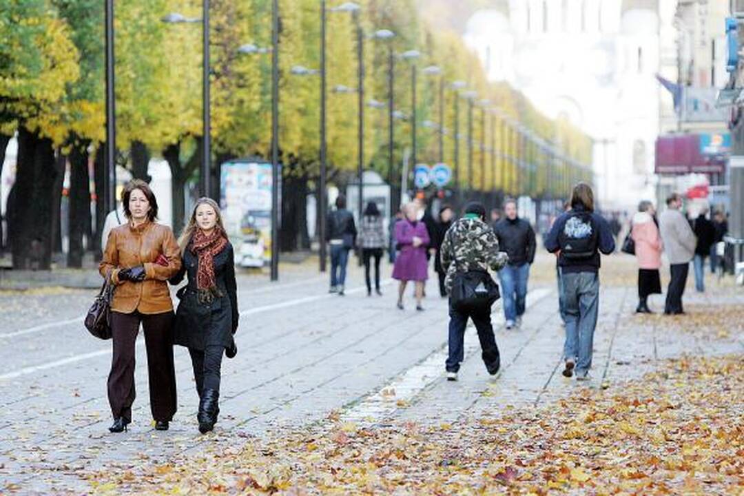 Laisvės alėjos vitrinų klyksmas - „Išnuomojama“!