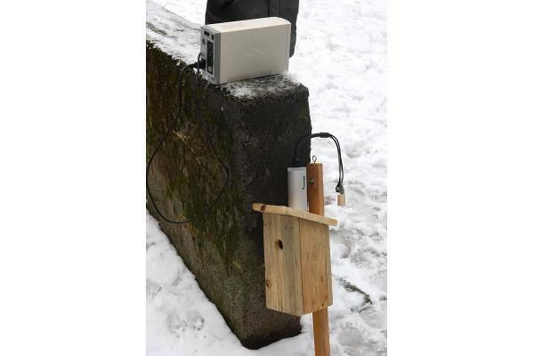 Panemunėje iškeltas inkilas su interneto ryšiu
