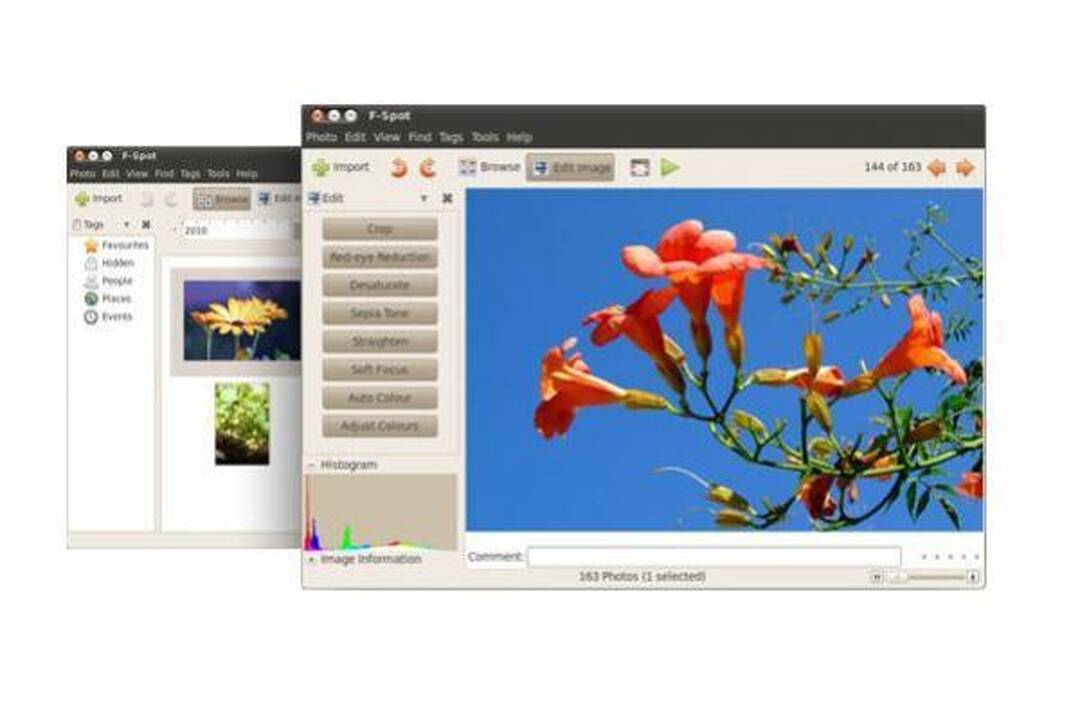 Ubuntu 10.04 LTS: kas naujo? 