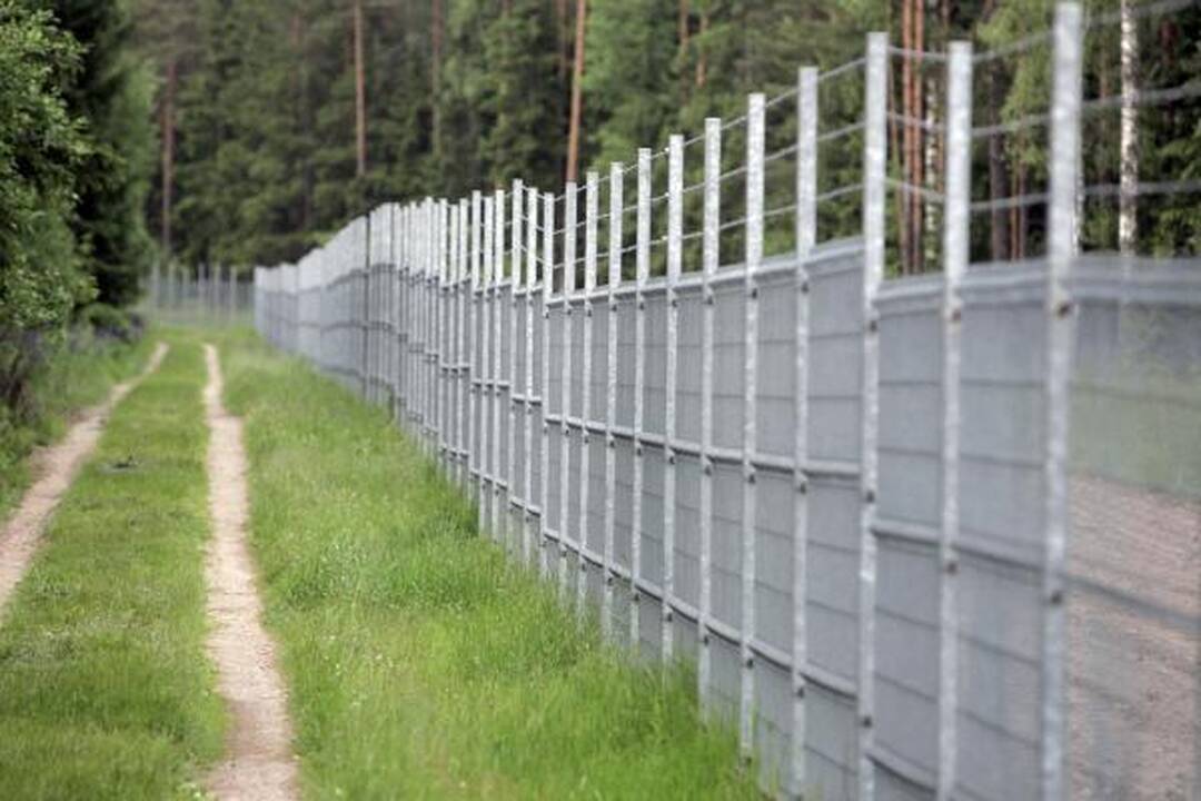 Nidos pasieniečiai sulaikė Kongo pilietę