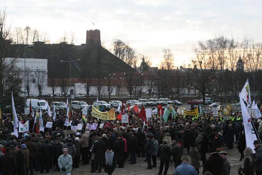 Prieš oligarchus mitingavo keli šimtai žmonių (papildyta)