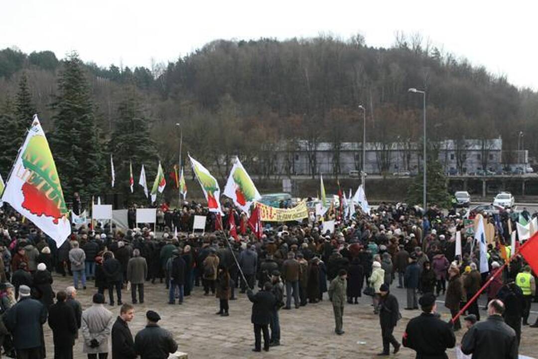 Prieš oligarchus mitingavo keli šimtai žmonių (papildyta)