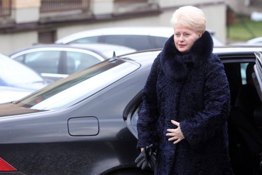 Prezidentė teisėjus paragino „vadovautis ne tik įstatymo raide“