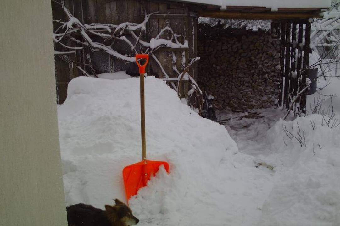 Dituvą užklojęs storas sniego sluoksnis sujaukė gyvenimą