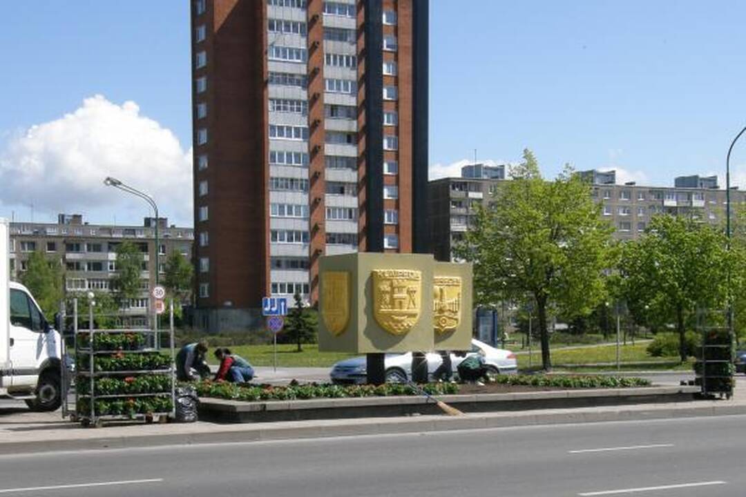 Klaipėda puošiasi gėlių žiedais