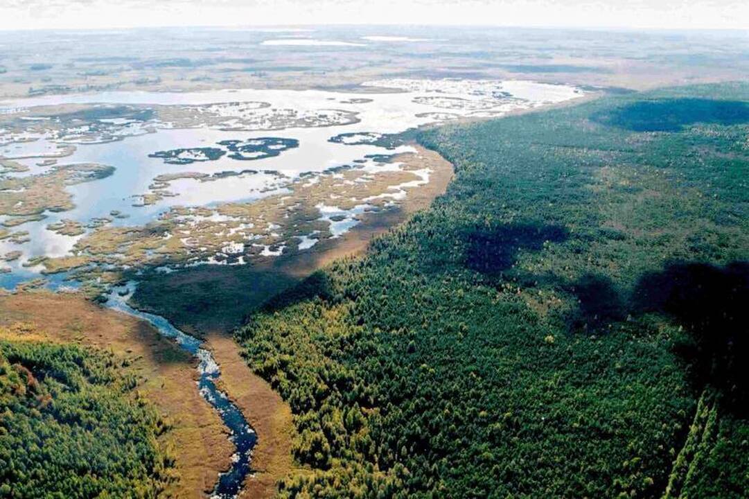 Žuvinto biosferos rezervatui – UNESCO sertifikatas