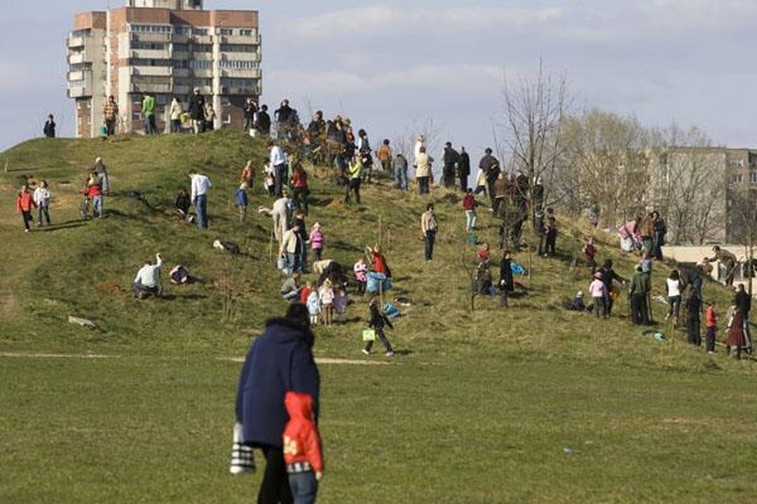 „Saulės“ mokykla Viršuliškėse pasodino ąžuolų parką