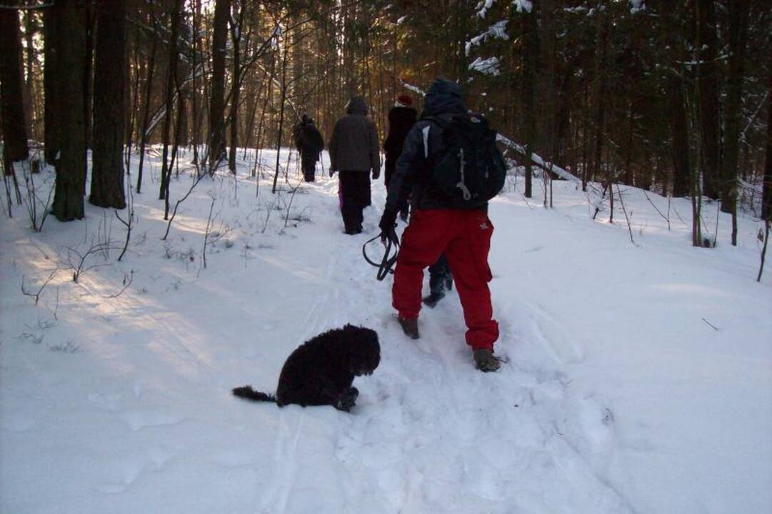 Speigo nepabūgo šimtai „Snaigės žygio“ dalyvių (naujokų įspūdžiai)