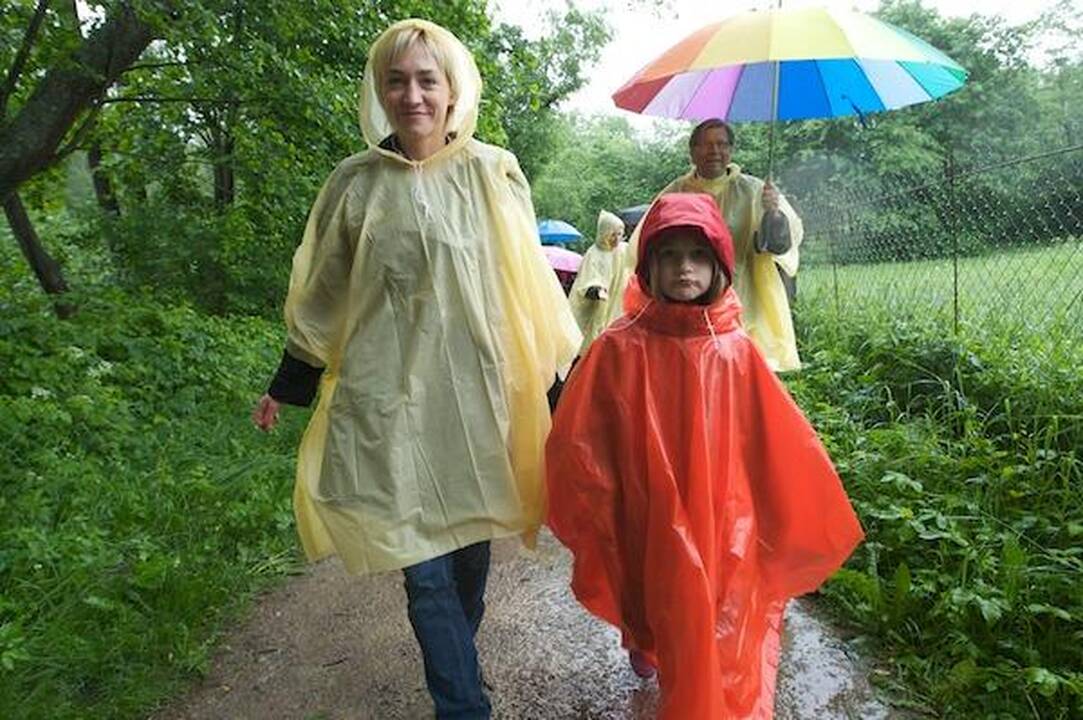 Ančiukų mažiau, bet greitesni