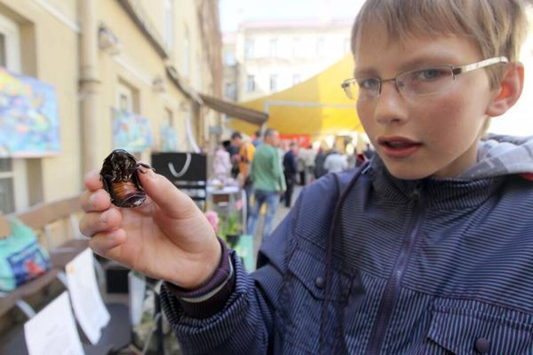 Į Atvelykio mugę vilniečius viliojo ir egzotiški driežai