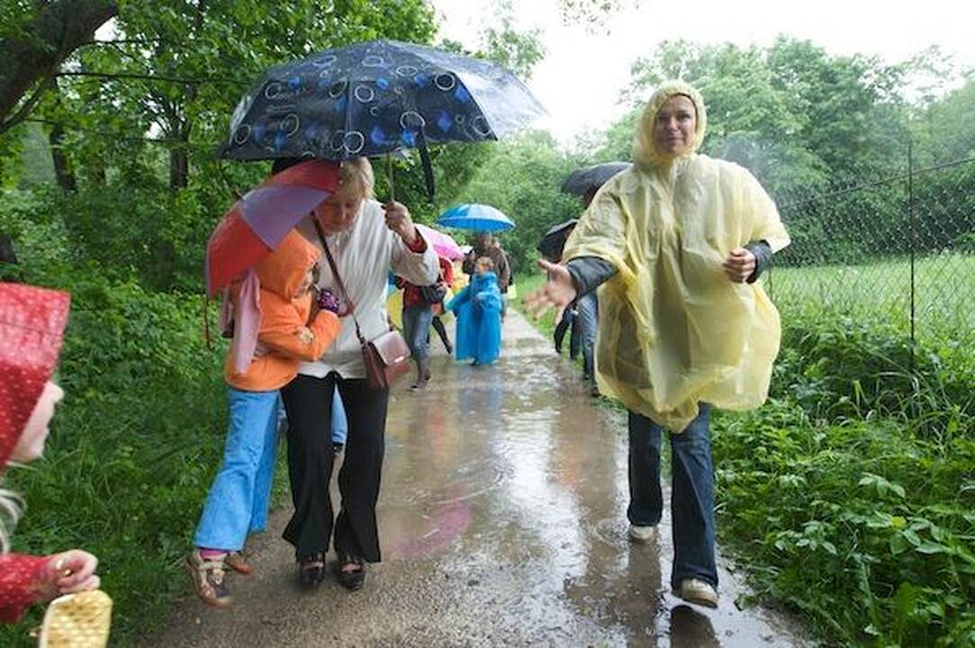 Ančiukų mažiau, bet greitesni