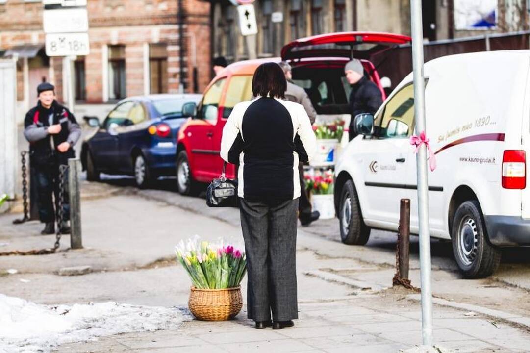 Sostinės pastatų sienas ramstė Rimantė Valiukaitė