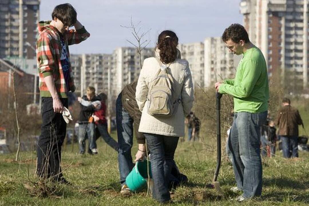 „Saulės“ mokykla Viršuliškėse pasodino ąžuolų parką